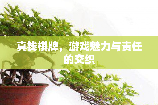 游戏魅力与责任的交织图片