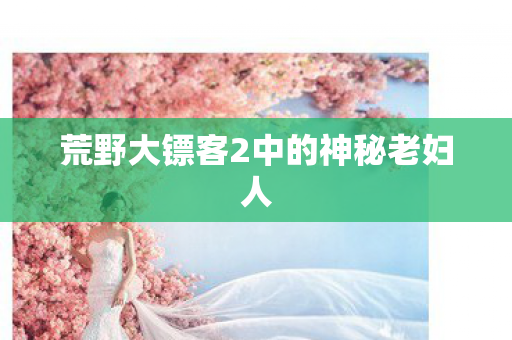 荒野大镖客2中的神秘老妇人图片