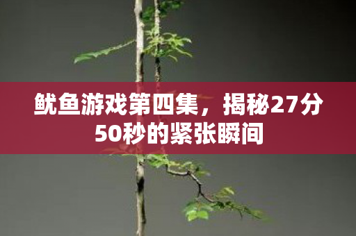 揭秘27分50秒的紧张瞬间图片
