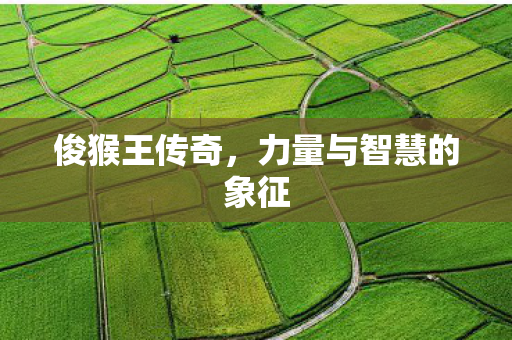 力量与智慧的象征图片