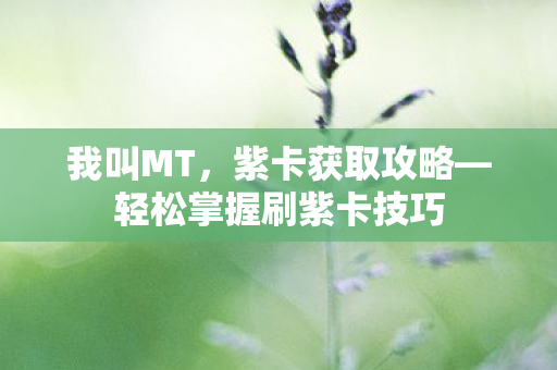 轻松掌握刷紫卡技巧图片