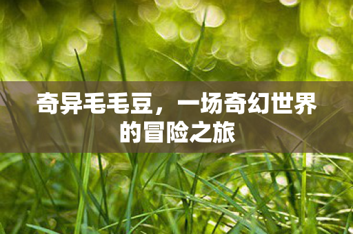 一场奇幻世界的冒险之旅图片