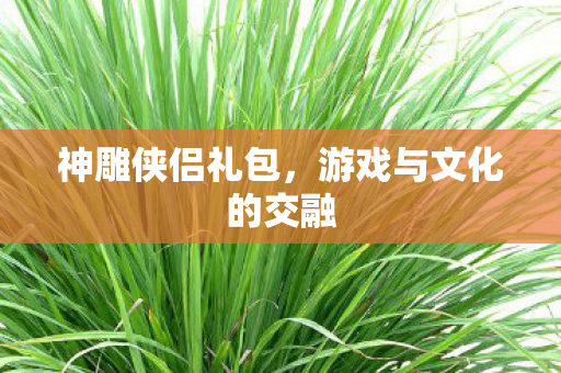 游戏与文化的交融图片