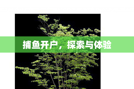 探索与体验图片