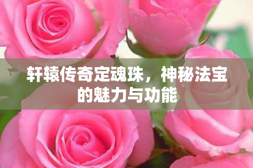 神秘法宝的魅力与功能图片