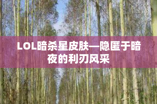 隐匿于暗夜的利刃风采图片