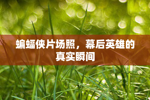 幕后英雄的真实瞬间图片