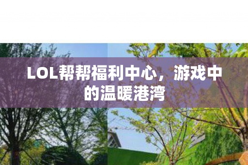 LOL帮帮福利中心图片