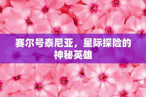 星际探险的神秘英雄图片