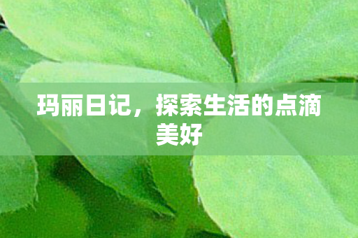 探索生活的点滴美好图片