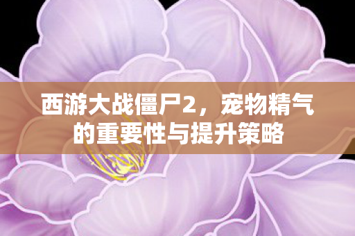 宠物精气的重要性与提升策略图片
