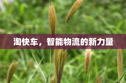 智能物流的新力量图片
