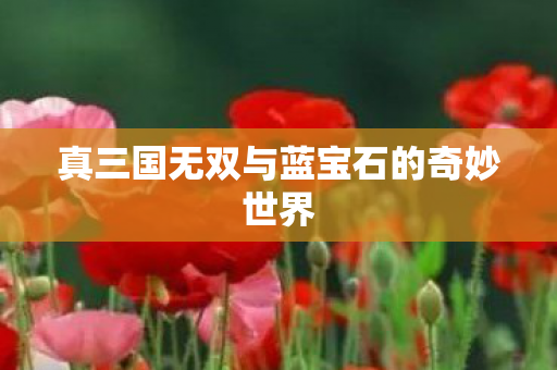 真三国无双与蓝宝石的奇妙世界图片