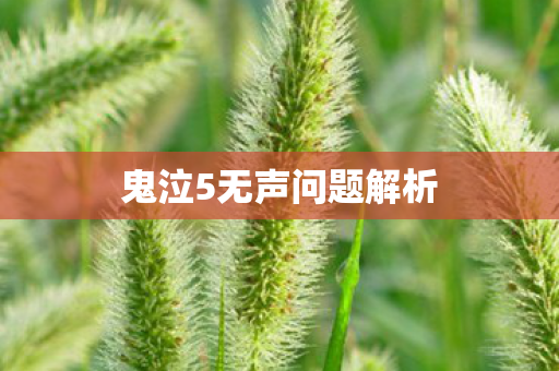 鬼泣5无声问题解析图片