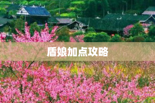 盾娘加点攻略图片