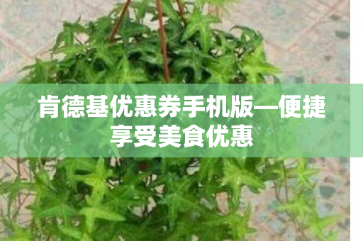 肯德基优惠券手机版图片
