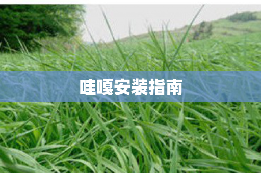 哇嘎安装指南图片