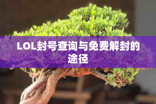 LOL封号查询与免费解封的途径图片