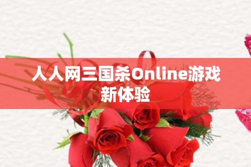 人人网三国杀Online游戏新体验图片
