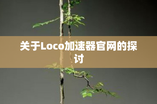 关于Loco加速器官网的探讨图片