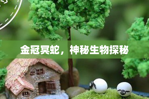 神秘生物探秘图片