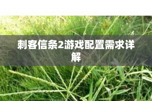 刺客信条2游戏配置需求详解图片