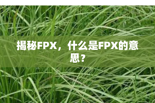 什么是FPX的意思图片