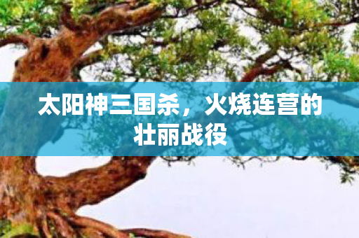 火烧连营的壮丽战役图片