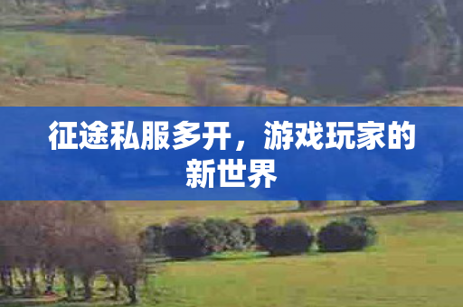 游戏玩家的新世界图片