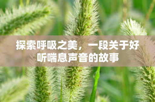 一段关于好听喘息声音的故事图片