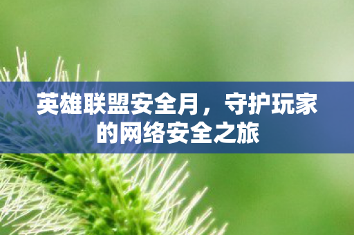 守护玩家的网络安全之旅图片