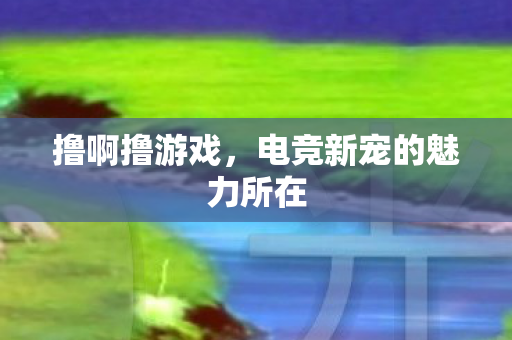 电竞新宠的魅力所在图片