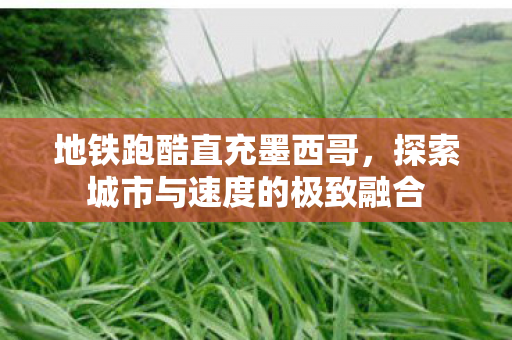 探索城市与速度的极致融合图片