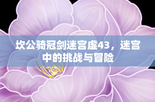 坎公骑冠剑迷宫虚43图片