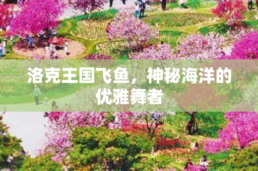 神秘海洋的优雅舞者图片