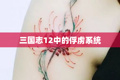三国志12中的俘虏系统图片