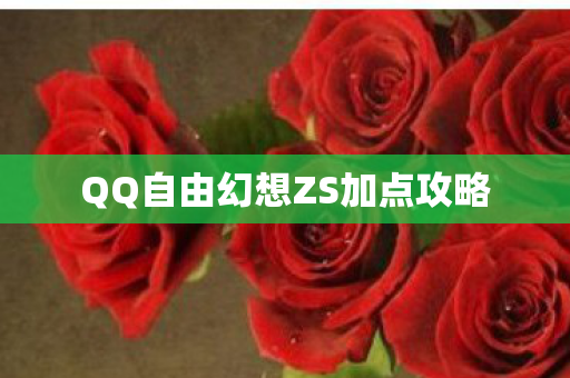 QQ自由幻想ZS加点攻略图片