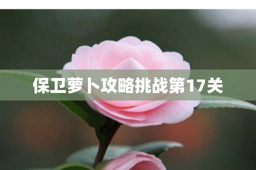 保卫萝卜攻略挑战第17关图片