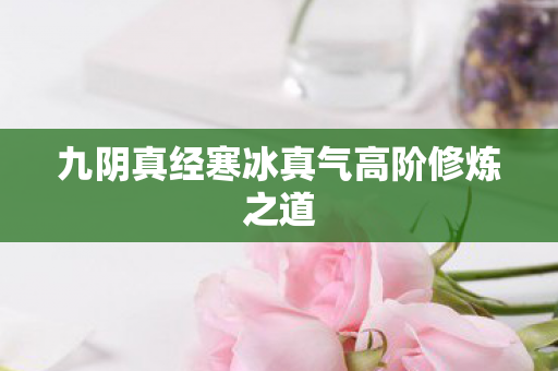 九阴真经寒冰真气高阶修炼之道图片