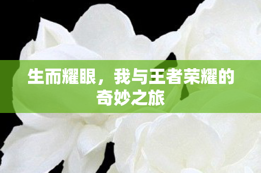 我与王者荣耀的奇妙之旅图片