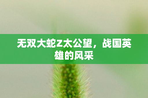 无双大蛇Z太公望图片