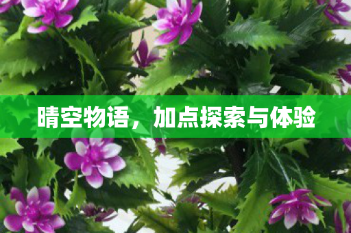 加点探索与体验图片