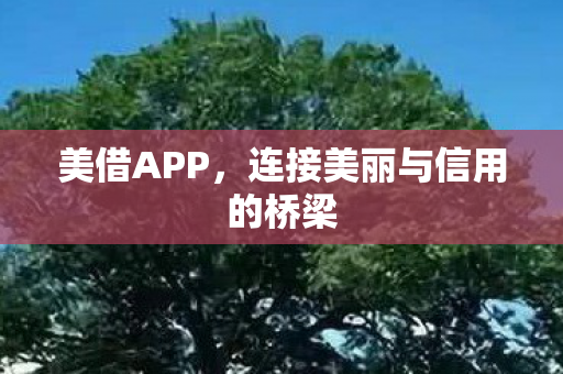 连接美丽与信用的桥梁图片