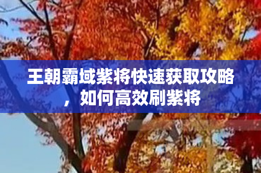 王朝霸域紫将快速获取攻略图片