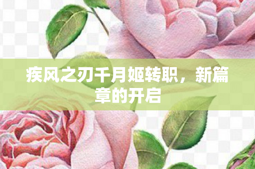 疾风之刃千月姬转职图片