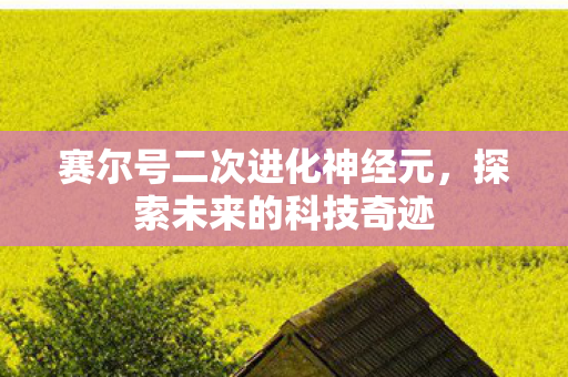 赛尔号二次进化神经元图片