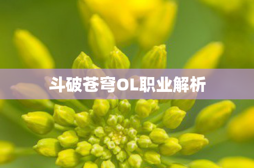 斗破苍穹OL职业解析图片