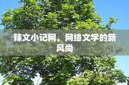 网络文学的新风尚图片