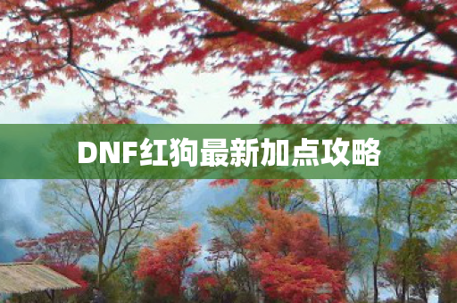 DNF红狗最新加点攻略图片