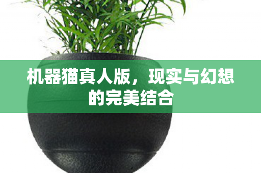 现实与幻想的完美结合图片